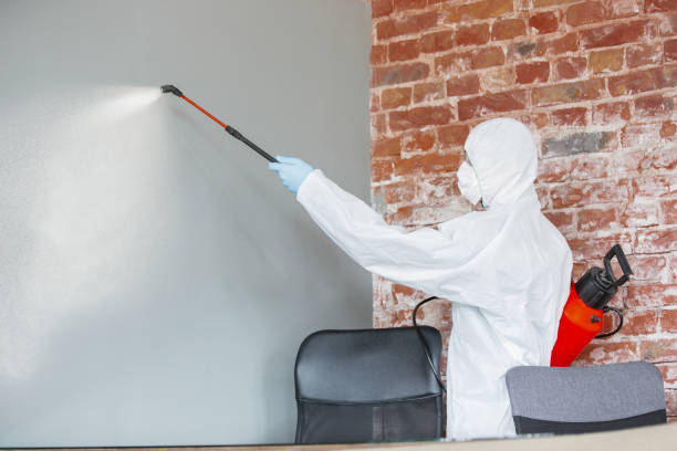 Mold Documentation for Insurance Claims in Ford City, PA